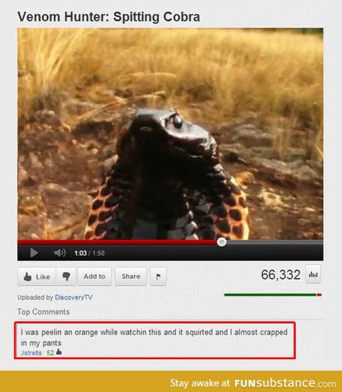 Old youtube comments were the best