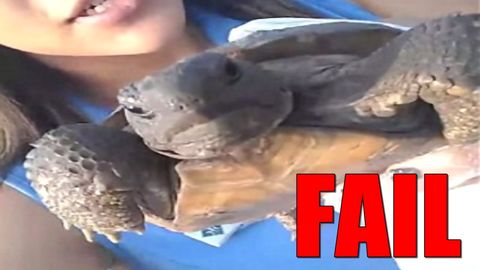 This girl "saves" a tortoise that she thought was a turtle and throws it into water