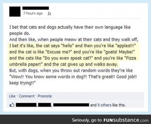 Do you even speak cat, human?