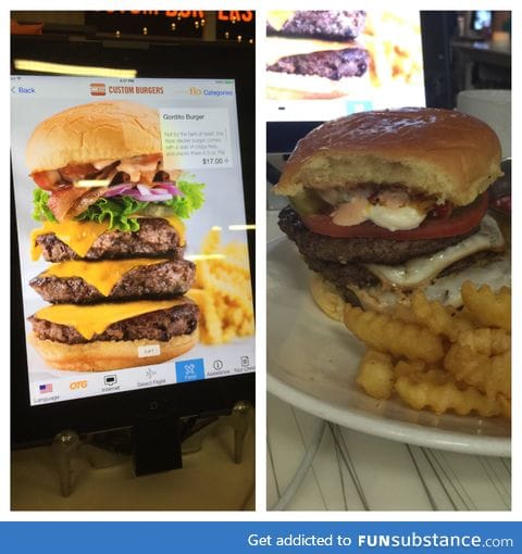 $17 burger. Expectations vs reality