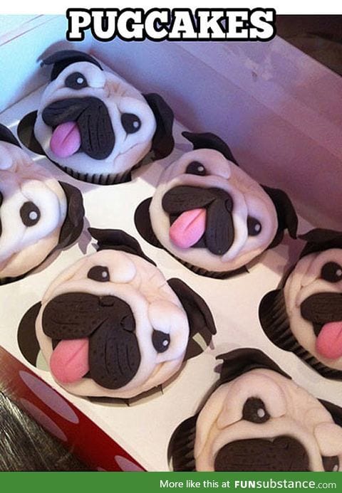 Awesome pug cupcakes