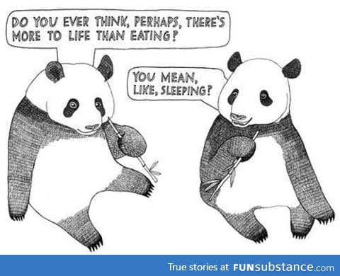 The life of a panda