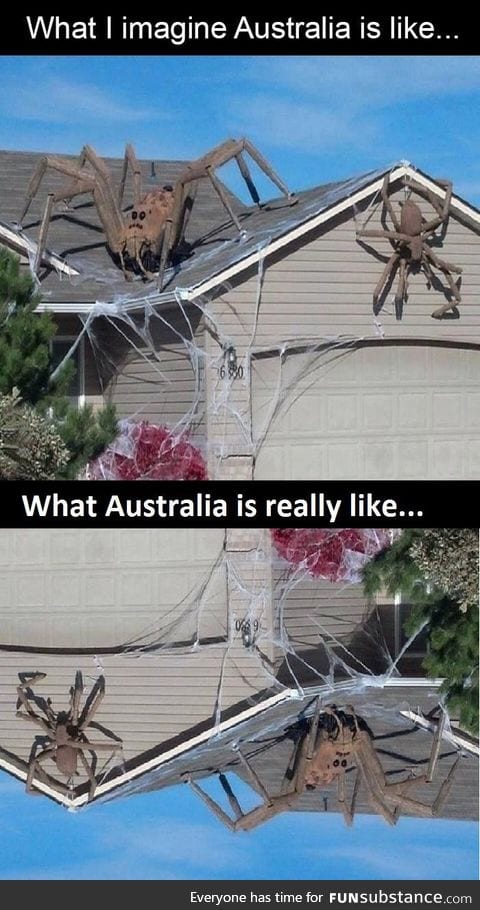 What Australia is really like