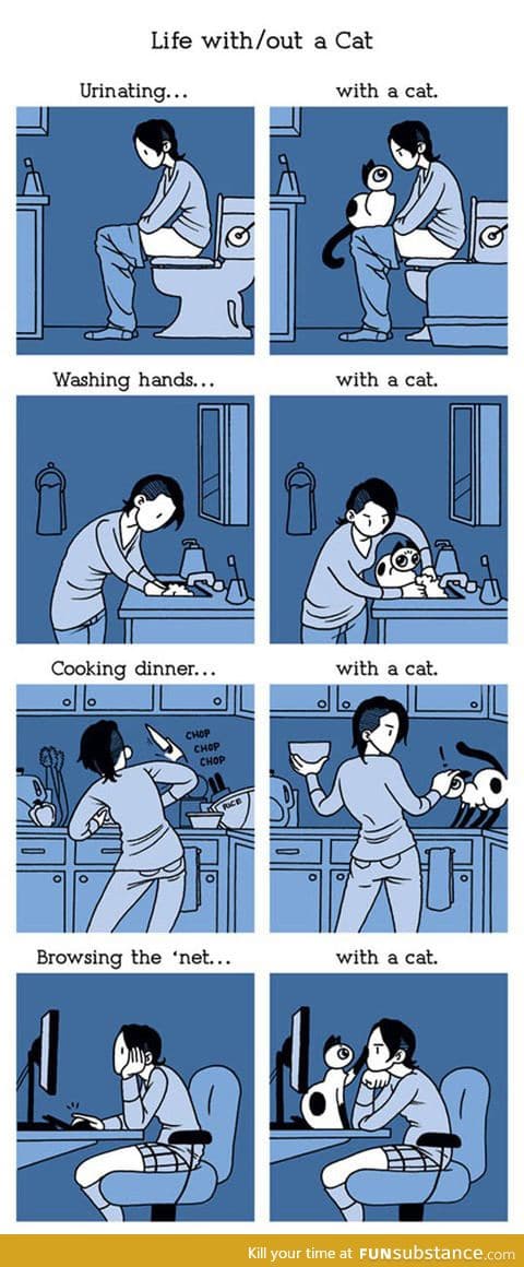 Living with a cat