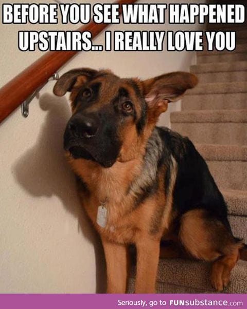 Before you go upstairs
