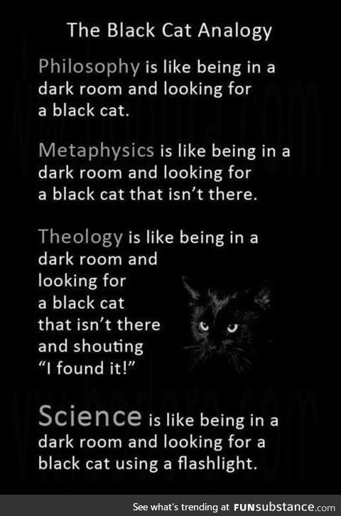 Black cat an*logy