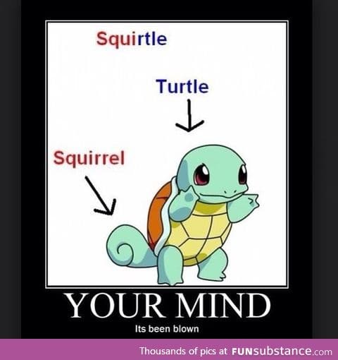 How squirtle was named