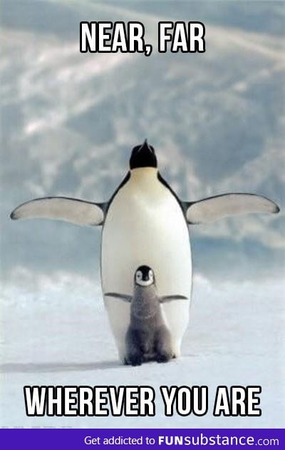 Penguin Titanic