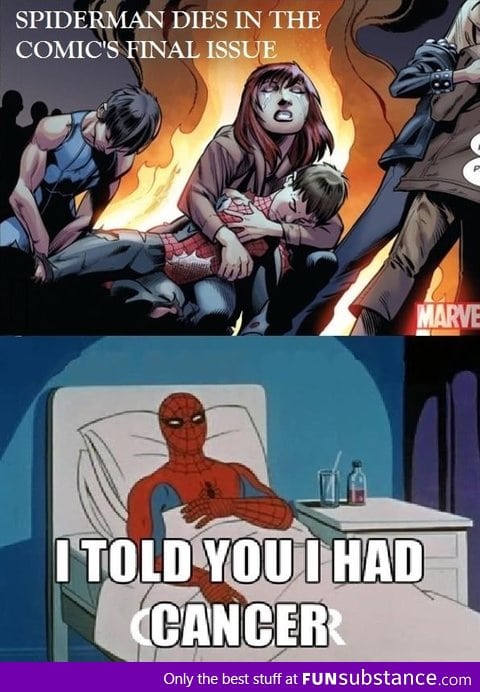 RIP Spidey:(