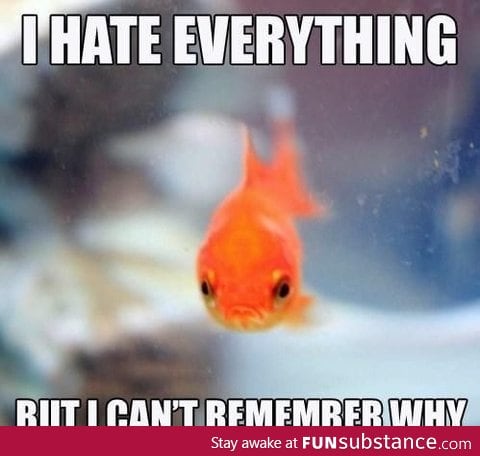 Grumpy Fish