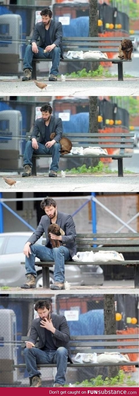 Keanu loves dogs