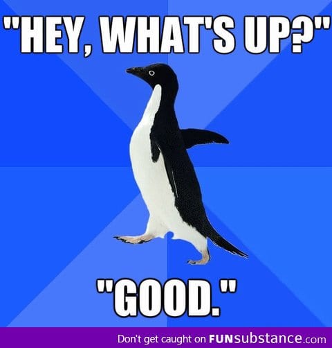 Socially Awkward Penguin