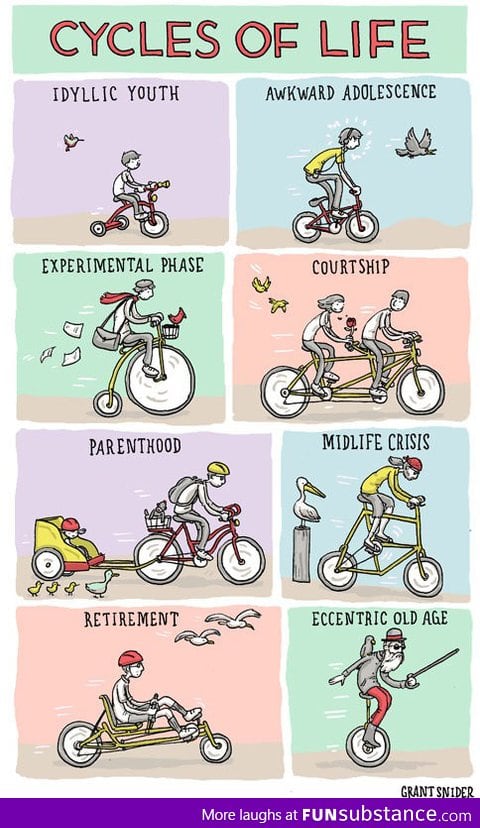 Cycles of Life