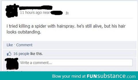 Spider + Hairspray