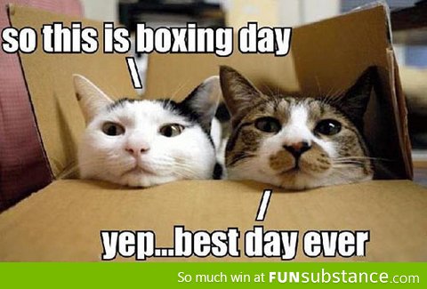 Boxing Day