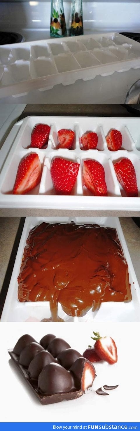 Ice tray, strawberries, chocolate go!