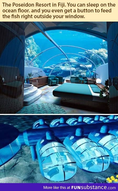 Sleeping on the ocean floor