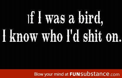 If I was a bird