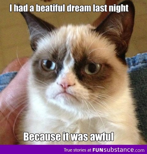 Grumpy Cat Dreamed