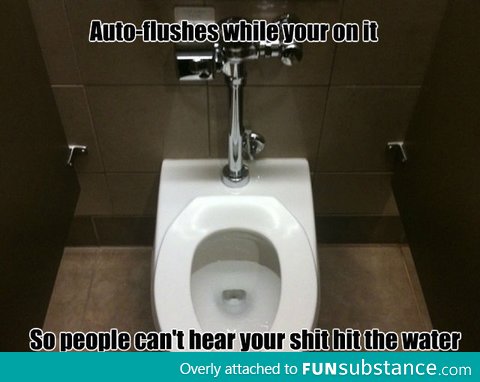 Good Guy Auto Flush Toilets