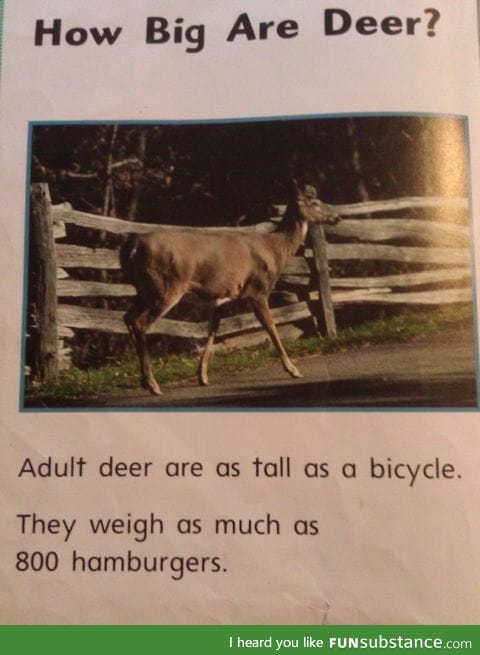 "From my daughter's library book. This is how we weigh things in America"