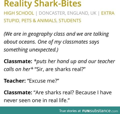 .. wait, sharks are real?