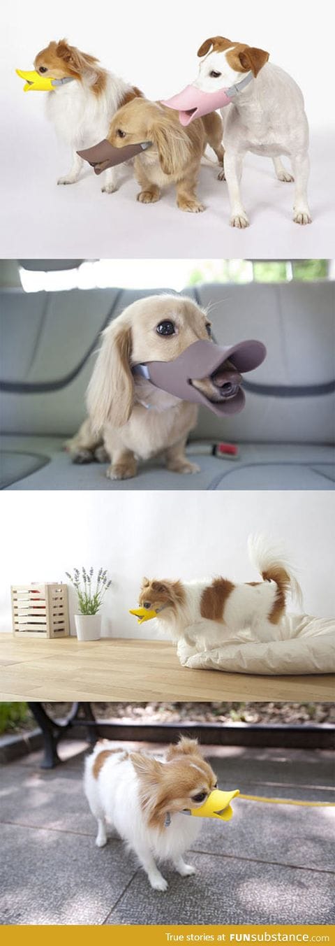 Duck-billed protective muzzle for dogs
