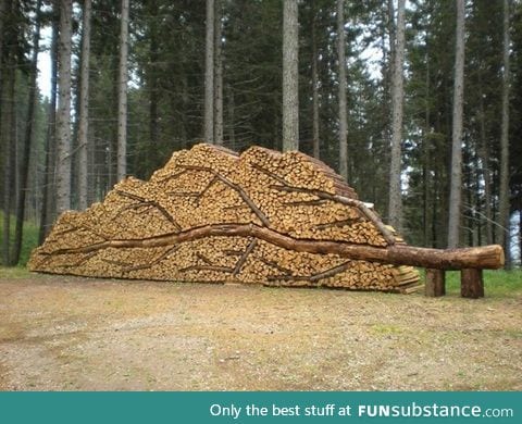 Nice woodpile