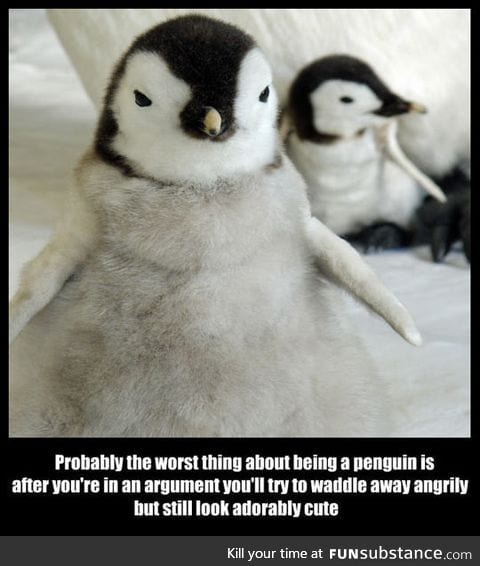 The worst thing about being a penguin