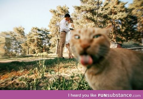 Photobombing done right