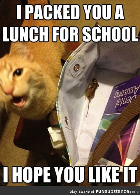 Your lunch is ready