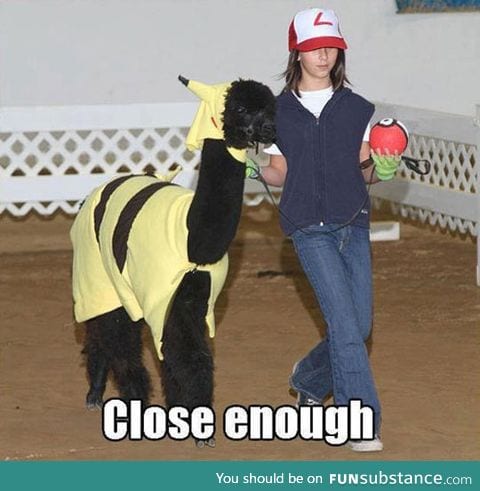 I choose you, alpacachu