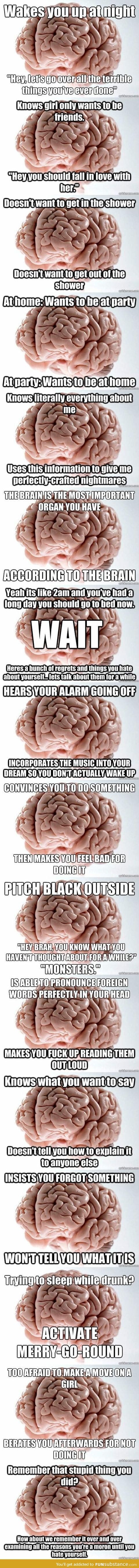 Ah, the wonderful brain