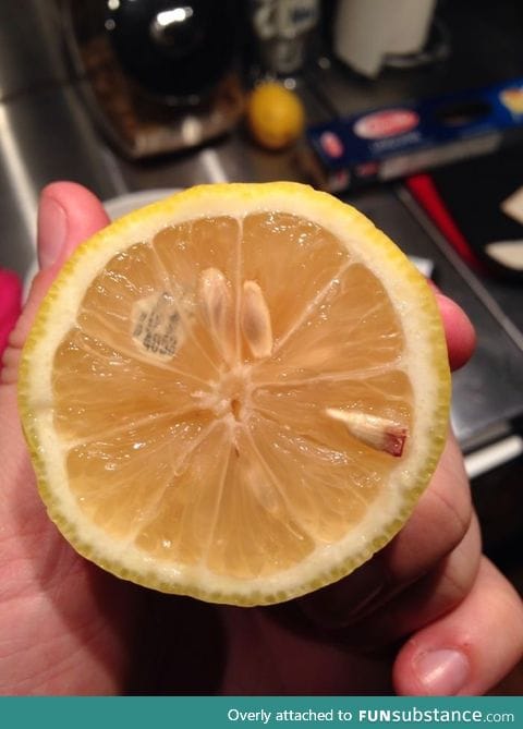 "Cut open a lemon and found a sticker inside the pulp"