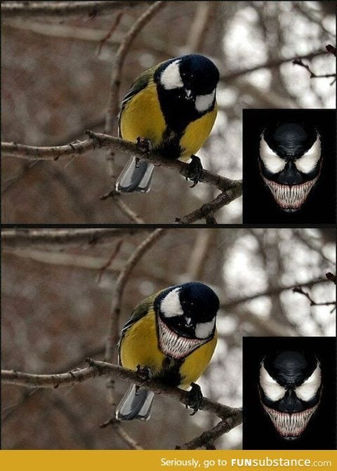 Venombird