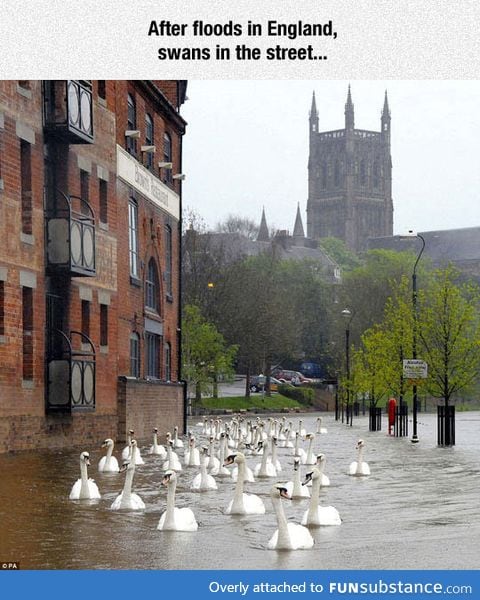 England flooding aftermath