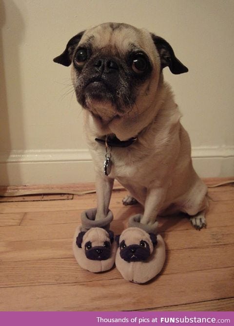 His slippers match his outfit