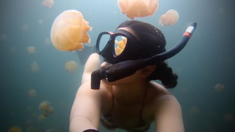 This Girl Takes Her GoPro Into Jellyfish Lake, Breathtaking!