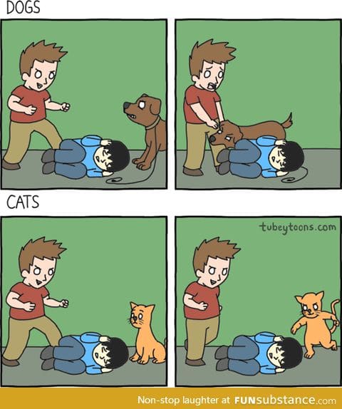 Dogs vs Cats