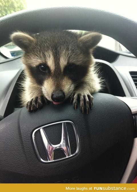 Don't drive angry