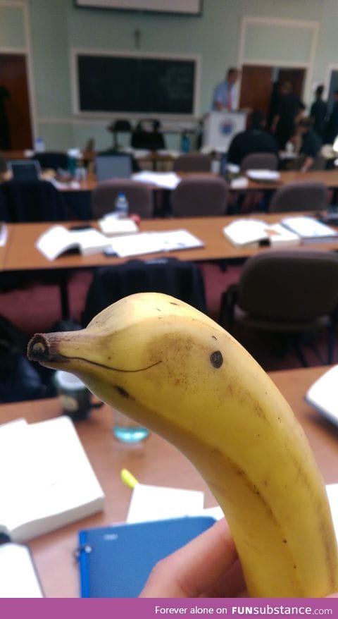 Banana Dolphin hopes you had a good day