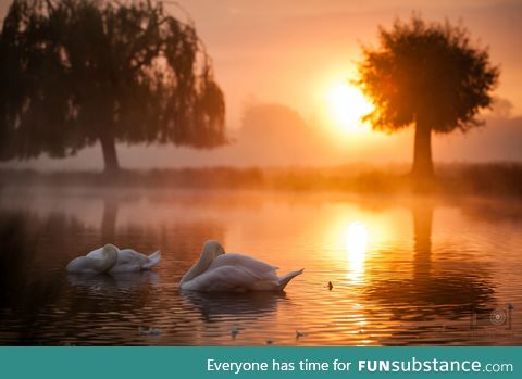 A London sunrise from one of the royal parks