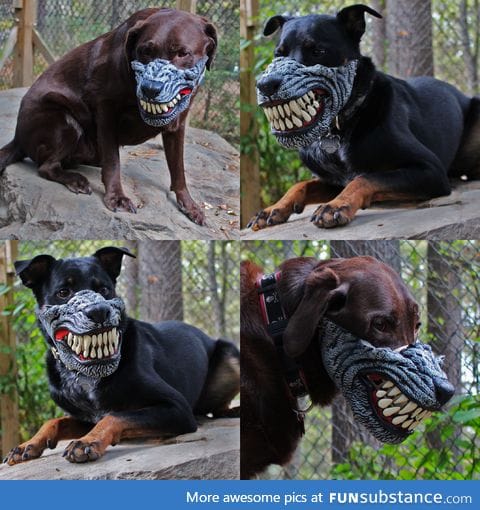 Werewolf dog muzzle for Halloween