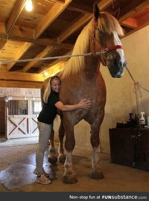 Gentle giant. Whoa!