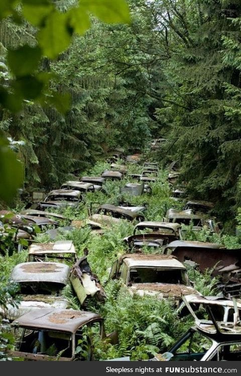 Cars left behind by US servicemen in the Ardennes Forest after WWII