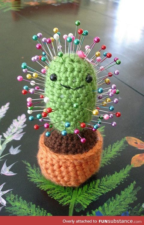 Perfect cactus pin cushion
