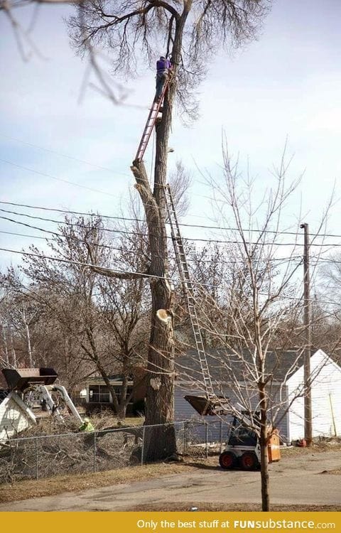 Is there a more unsafe way to cut down a tree?