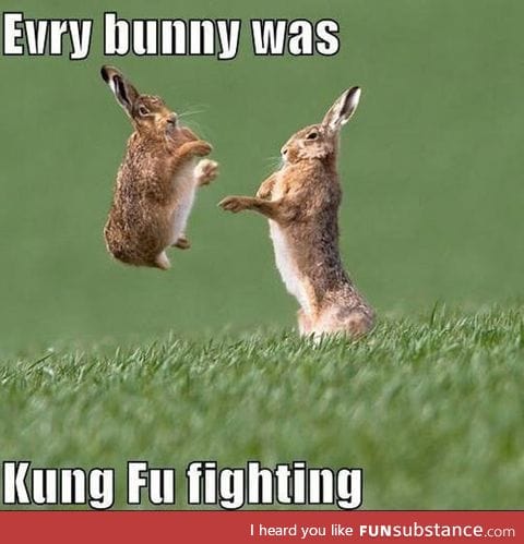 Every single bunny
