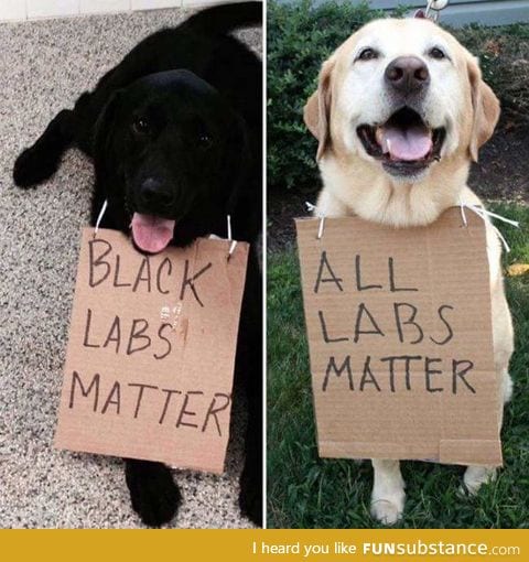 All dogs matter!