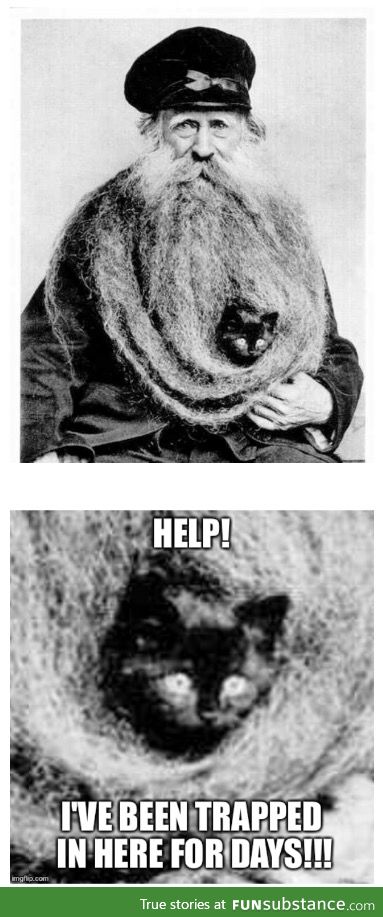 Poor kitty!